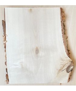 Unique piece in solid BIRCH wood, width 20 cm, height 27 cm