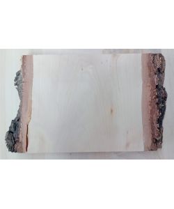 Unique piece in solid BIRCH wood, width 17 cm, height 13 cm