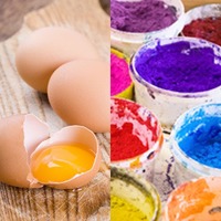 Egg tempera colors