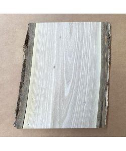 Pezzo unico in legno massiccio di NOCE, larghezza 16 cm, altezza 25 cm, CON FORI TARLO