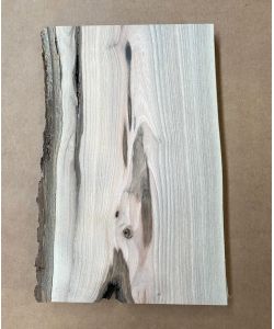 Pezzo unico in legno massiccio di NOCE, larghezza 17 cm, altezza 28 cm, CON NODI