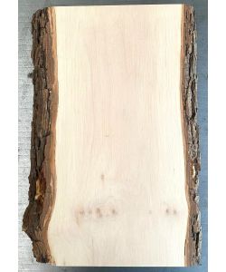 Unique piece in solid alder wood, with bark, for pyrography, 20X37 cm