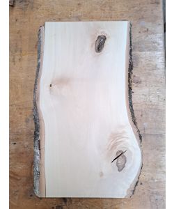 Pezzo unico in legno massiccio di BETULLA, larghezza 24 cm, altezza 47 cm