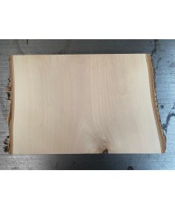 Pezzo unico in legno massiccio di BETULLA, larghezza 26 cm, altezza 19 cm