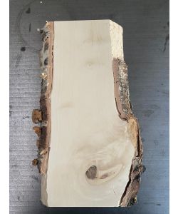 Pezzo unico in legno massiccio di BETULLA, larghezza 12 cm, altezza 32 cm