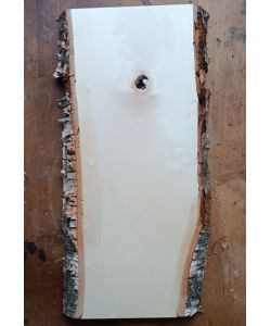 Unique piece in solid BIRCH wood with bark, width 19 cm, height 48 cm