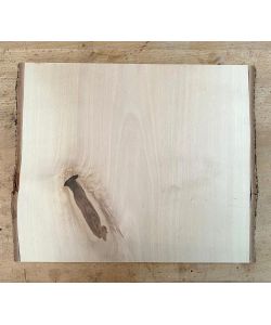 Unique piece in solid BIRCH wood, width 25-27 cm, height 25 cm with knot