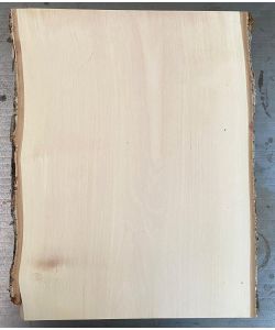 Unique piece in solid BIRCH wood, width 28 cm, height 38 cm