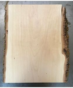 Unique piece in solid BIRCH wood, width 35 cm, height 48 cm