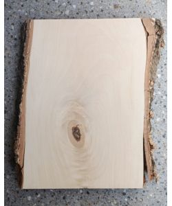 Pieza nica en madera maciza de abedul, con corteza, para pirograbado, 25x30 cm