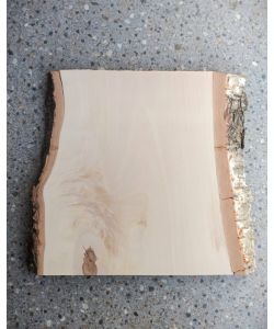 Pieza nica en madera maciza de abedul, con corteza, para pirograbado, 26x25 cm