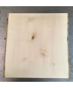 Unique piece in solid BIRCH wood, width 33 cm, height 34.5 cm with knot