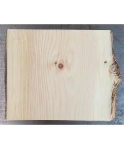 Pezzo unico in legno massiccio di Cirmolo con corteccia, per pirografia, 20-23x20 cm