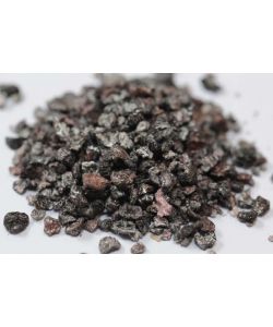 COCHINEAL insect dried