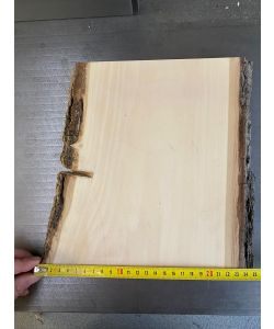 Einzigartiges Stück aus massivem Lindenholz mit Rinde, für die Brandmalerei, 24x25 cm