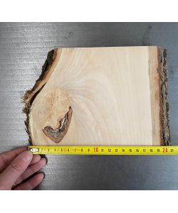 Pezzo unico in legno massiccio di tiglio con corteccia, per pirografia, 20x15,5 cm