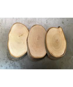 Irregular oval piece in laurel wood , with bark, for pyrography 11-12x16-20 cm