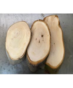 Pi�ce ovale irr�guli�re en bois de laurier, avec �corce, pour pyrogravure 11-13x24-30 cm