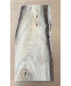 Pezzo unico in legno massiccio di NOCE, larghezza 26 cm, altezza 56 cm, CON FORI TARLO