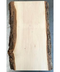 Unique piece in solid alder wood, with bark, for pyrography, 20x40 cm
