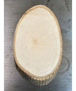 OVAL pieces in lindenwood, with bark, for pyrography 15x24