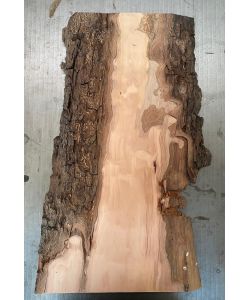Pezzo unico in legno di Pero, con corteccia, larghezza 13 cm x altezza 52 cm