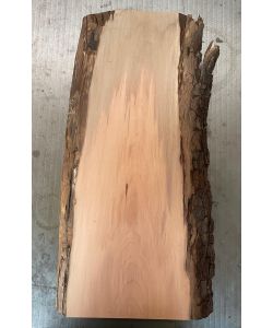 Pezzo in legno massiccio di pero con corteccia, per pirografia, 16x49 cm