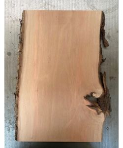 Pezzo in legno massiccio di pero con corteccia, per pirografia, 21x36 cm