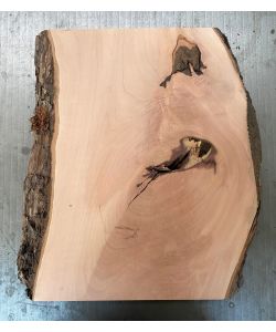 Pezzo in legno massiccio di pero con corteccia, per pirografia, 25x36 cm