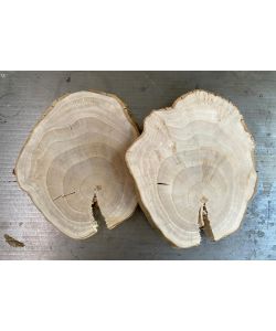 Pezzo ovale irregolare  in legno di platano, con corteccia, per pirografia 24x33cm