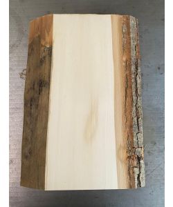 Unique piece in solid lime wood, with bark, for pyrography, 15x33 cm