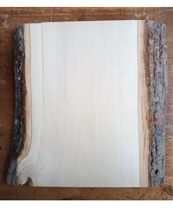 Pezzo unico in legno massiccio di TIGLIO, larghezza 23 cm, altezza 30 cm