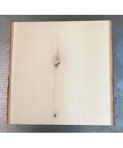 Unique piece in solid lime wood, with bark, for pyrography, 33x33.5cm with knot