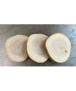 Pezzo TONDO in legno di platano, con corteccia, per pirografia diam 9-11 cm