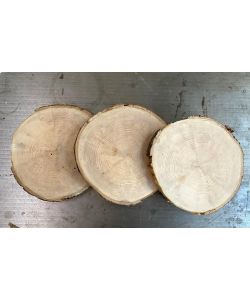 Pezzi  TONDI in legno di tiglio, con corteccia, per pirografia diam 20-22 cm