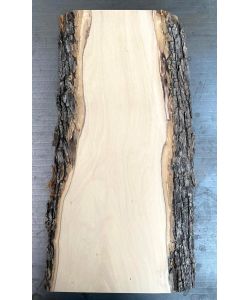 Unique piece in solid olive wood with chamfers and bark 15x42cm