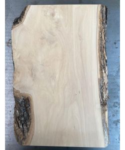 Unique piece in solid olive wood with chamfers and bark 20x35cm