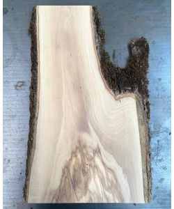 Pezzo unico in legno massiccio di ulivo con smussi e corteccia 22x45 cm
