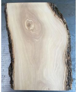 Unique piece in solid olive wood with chamfers and bark 24x40cm