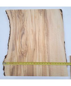 Pezzo unico in legno massiccio di ulivo con smussi e corteccia, per pirografia-intaglio, 39x42,5 cm