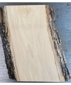 Unique piece in solid olive wood with chamfers and bark 13x23cm