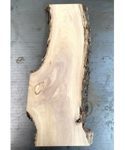 Pi�ce unique en bois d'olivier massif avec chanfreins et �corce 15x44 cm