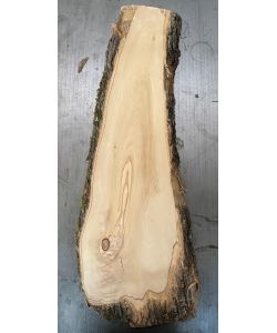 Pezzo unico in legno massiccio di ulivo con smussi e corteccia 15x70 cm